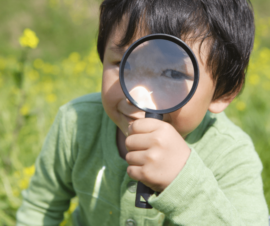 Como os artistas veem o mundo — uma jornada sensorial com Will&nbsp;Gompertz